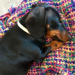 Greta